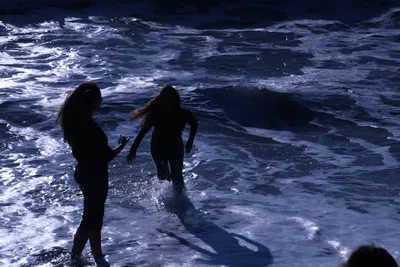 DSC_0498 (Large).JPG